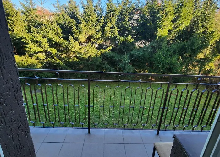 Premium U Julii-julia's Premium Rzeszów